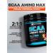 Soul Way BCAA Sports Nutrition BCAA 500 grams of mango-markeia - Buy Online on GoSupps.com