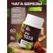 Eco Teremok Chaga Altai 60 cap.