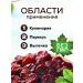 BeFlowers Cherry dried sluggish berry without a bone 1 kg - Buy Online on GoSupps.com