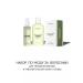 Philosophies by Alex Kontier Care and volumetric styling Care Set Care Set - Buy Online on GoSupps.com