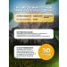 Nature's Plus About Berberin 750 mg 60 capsules - Buy Online on GoSupps.com