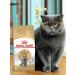 ROYAL CANIN Adult British cats British Shorthair 4 kg - Buy Online on GoSupps.com