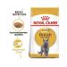 ROYAL CANIN Adult British cats British Shorthair 4 kg - Buy Online on GoSupps.com