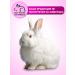 KeraSys Hair shampoo perfumed Fleur Shampoo 500 ml - Buy Online on GoSupps.com