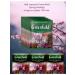 Greenfield Black tea Spring Melody in bags 100pak - Buy Online on GoSupps.com
