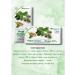 LEKRA-SET Burdock roots chopped 20f packets - Buy Online on GoSupps.com