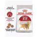 ROYAL CANIN Dry FIT-32 food for adult cats extending to the street 4KG - Buy Online on GoSupps.com
