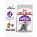 ROYAL CANIN Sensible food for cats sensitive digestion 1.2 kg - Buy Online on GoSupps.com