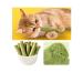 Happy Pet Teething for teething from cat grass - Buy Online on GoSupps.com