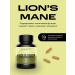 IPSUM Ezhovik crested mycelium (Lions mane) 60 capsules