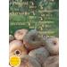 ArmFruits Dried dried figs without sugar from Armenia 500 g - Buy Online on GoSupps.com