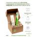 Fazzetorganic Toothpaste and brush as a gift