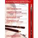 ALMIRA SHOP Eye pencil and eyebrow eyeliner set 12 pieces - Buy Online on GoSupps.com