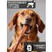 FOR RODENT DOG Dog treats bull root 30 cm 300 g - Buy Online on GoSupps.com