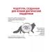 ROYAL CANIN For cats Gastrointestinal Fiber Response 350gr - Buy Online on GoSupps.com