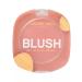 VIVIENNE SABO Blush Visage Mat Macaron 01 Face matte blush