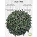 Herbs and teas of Crimea Peppermint dried Crimean - Buy Online on GoSupps.com