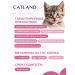 CATLAND Complete dry food for kittens 1.3 kg - Buy Online on GoSupps.com