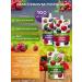 SAVA Ave. Berries without sugar 3 pcs. 3*250 gr. (Cherry kiwi raspberries) - Buy Online on GoSupps.com