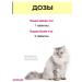 Vit-Active A complex of vitamins for pregnant and nursing cats - Buy Online on GoSupps.com