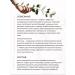 Green Crimea Facial squal intensive lifting with rose oil 50 ml - Buy Online on GoSupps.com