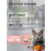 1st Choice Dry food for homemade cats with chicken 5.44 kg - Buy Online on GoSupps.com