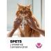 SPETS Long -haired cats shampoo hypoallergenic 500 ml - Buy Online on GoSupps.com