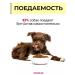 Vit-Active A complex of vitamins for pregnant and lactating dogs 2 pcs - Buy Online on GoSupps.com