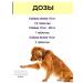 Vit-Active A complex of vitamins for dogs over 7 years 1 pcs - Buy Online on GoSupps.com