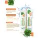Nevskaya Cosmetics Facial cream anti -aging carrot 2 pcs 40 ml - Buy Online on GoSupps.com