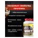 BIOPHARM Protein Premium 896g - Buy Online on GoSupps.com