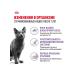 ROYAL CANIN Sterilized 7+ Dry food for cats 3.5 kg - Buy Online on GoSupps.com