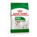 ROYAL CANIN Mini adult feed for dogs of small sizes from 10 months 8 kg - Buy Online on GoSupps.com
