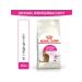 ROYAL CANIN Feeding cat food from 1 year 10 kg