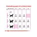 ROYAL CANIN Feeding cat food from 1 year 10 kg - Buy Online on GoSupps.com