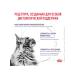 ROYAL CANIN Neuthed Satiety Balance Cat food 8 kg - Buy Online on GoSupps.com