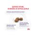 ROYAL CANIN Neuthed Satiety Balance Cat food 8 kg - Buy Online on GoSupps.com