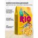 RIO Feed egg wavy parrots of small birds Eggfood 250g 4pcs - Buy Online on GoSupps.com