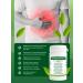 GAYSIN HERBS Stomach Healthy herbal collection tableted 90 - Buy Online on GoSupps.com