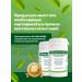 GAYSIN HERBS Pancreas healthy herbal collection 2 on 90 pcs - Buy Online on GoSupps.com