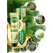 Forest balsam Toothpaste Ultra power 75 ml - Buy Online on GoSupps.com
