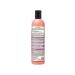 Natura Siberica Taiga Siberica bio shampoo for damaged hair 400 ml - Buy Online on GoSupps.com