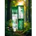 Forest balsam Toothpaste against bleeding gums 50 ml - Buy Online on GoSupps.com