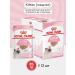 ROYAL CANIN Cat food humid Kitten 85 g paste 12pc