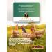 pracrica Abyiotonik vitamins for chickens and other animals 50 ml (1 pc) - Buy Online on GoSupps.com