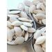 Golden Garden Pumpkin seeds of unpeeled 1 kg - Buy Online on GoSupps.com