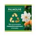 PALMOLIVE Toilet soap for the face hands and body 6pcs 90g - Buy Online on GoSupps.com