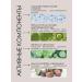 Vitex Moisturizing strengthening cream-asset for face 45+ day-Night - Buy Online on GoSupps.com