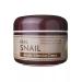 Artdomenico Ekel Facial Cream Intensively Snail mucin - Buy Online on GoSupps.com