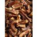 Dog treating Bully root beef delicious 500 g - Buy Online on GoSupps.com